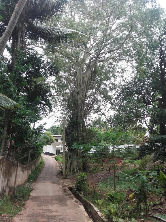 Disna Place Unawatuna Buitenkant foto